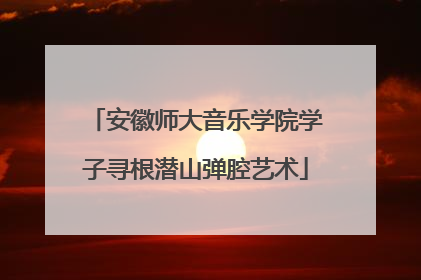 安徽师大音乐学院学子寻根潜山弹腔艺术